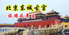 极品欧美粉逼中国北京-东城古宫旅游风景区